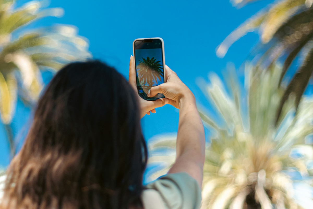 En person håller i en mobiltelefon och tar kort på en palm.