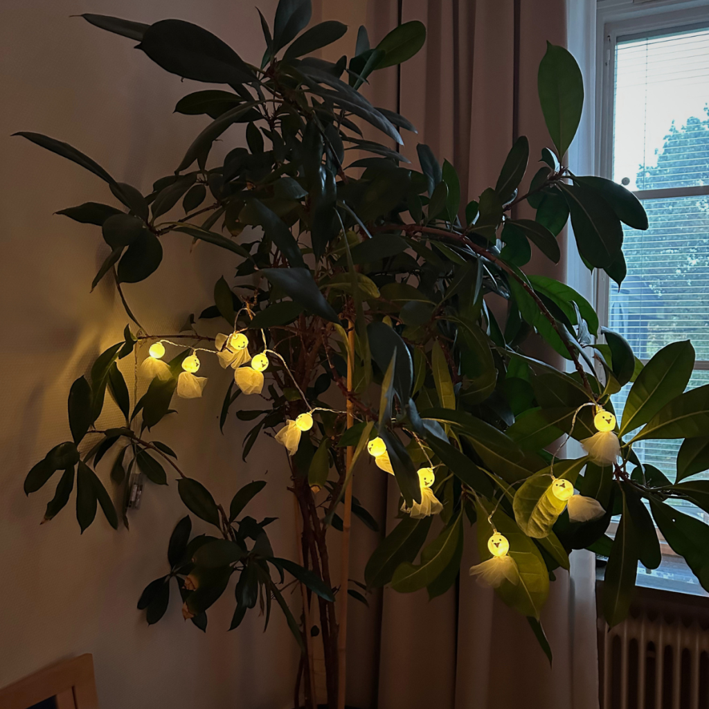 En växt som har ljusslingor i form av spöken.